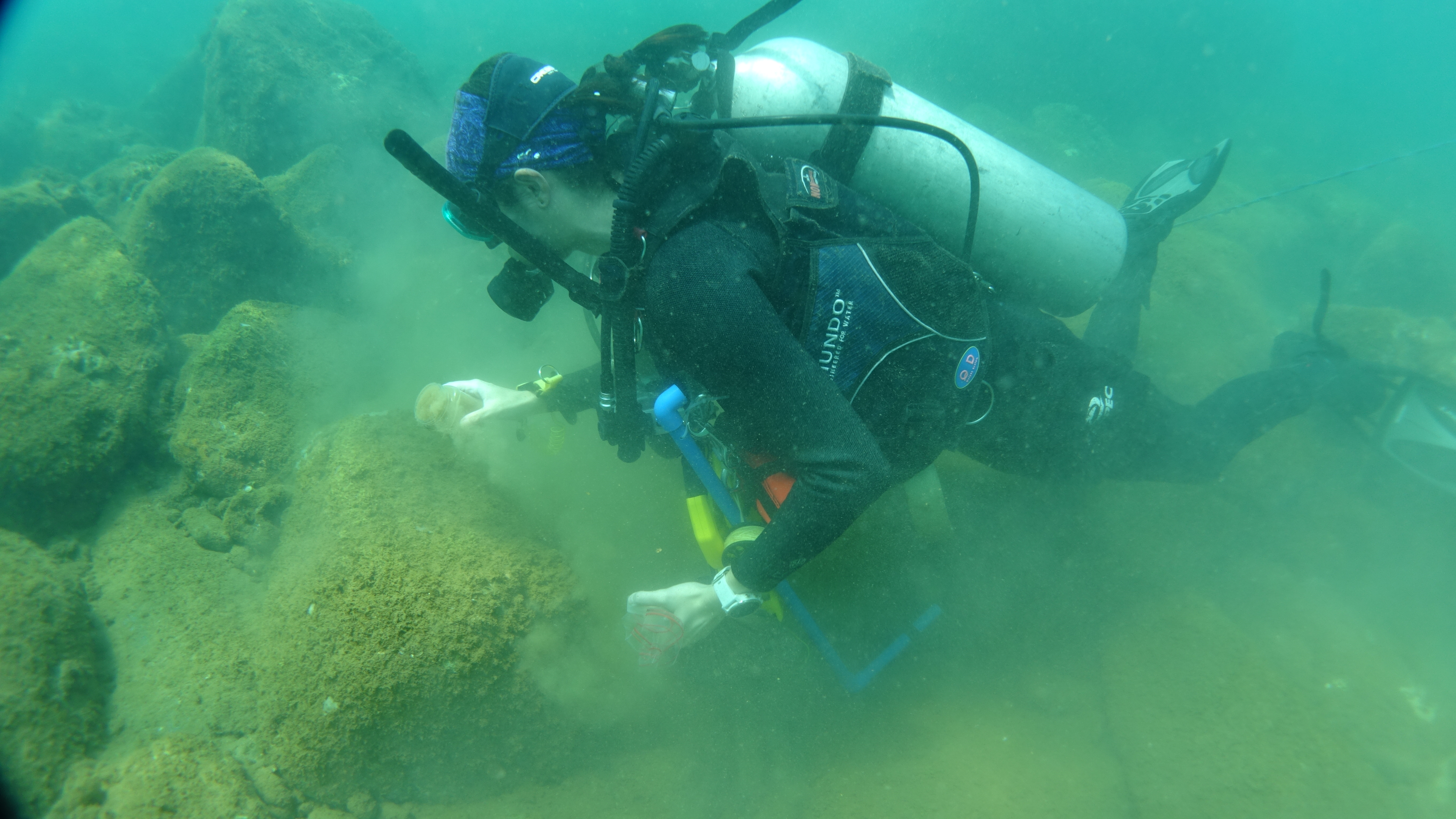 Marine Ecology Survey