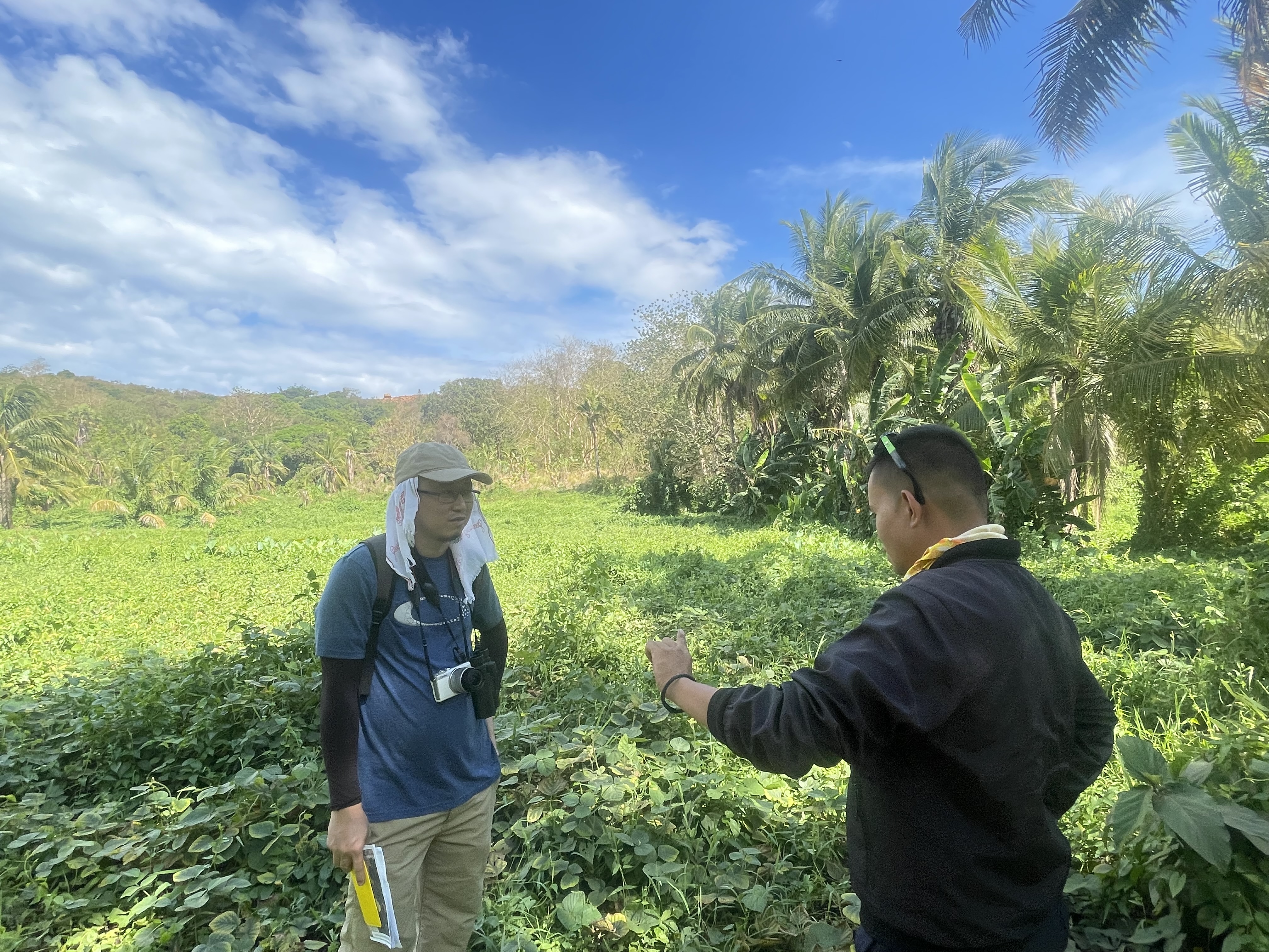 Terrestrial Ecology Flora Study