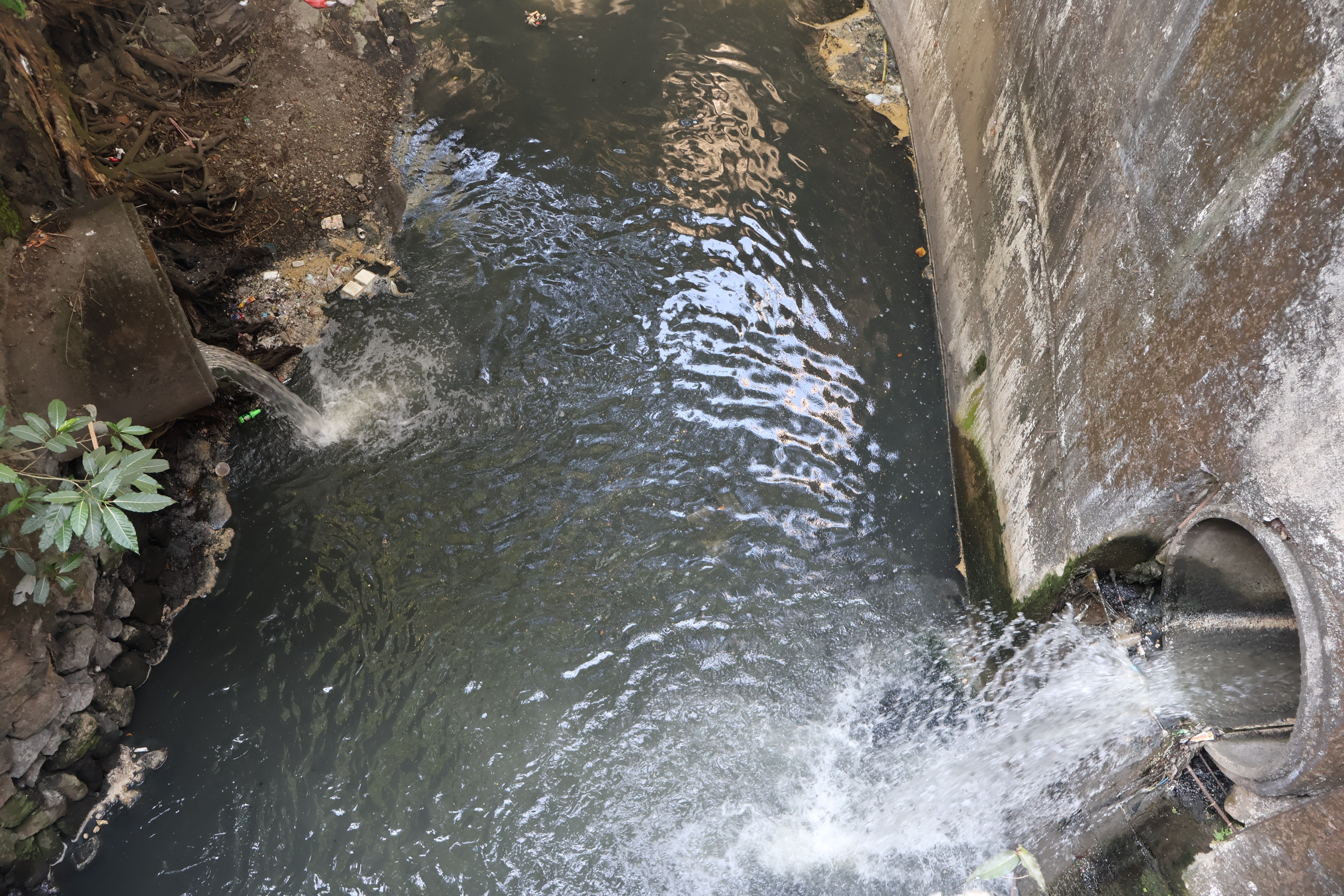 Water Quality Sampling Analysis